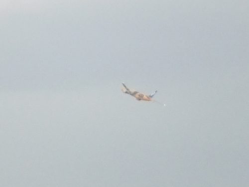 C-3PO ANA JET スター・ウォーズ